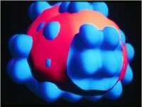 3d prostate